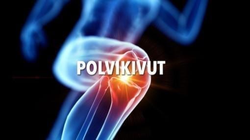 Polvikipu, polviongelmat, FPS-webinaari Ari-Pekka Lindberg Functional Performance Specialist, NHA, Nordic Health Academy