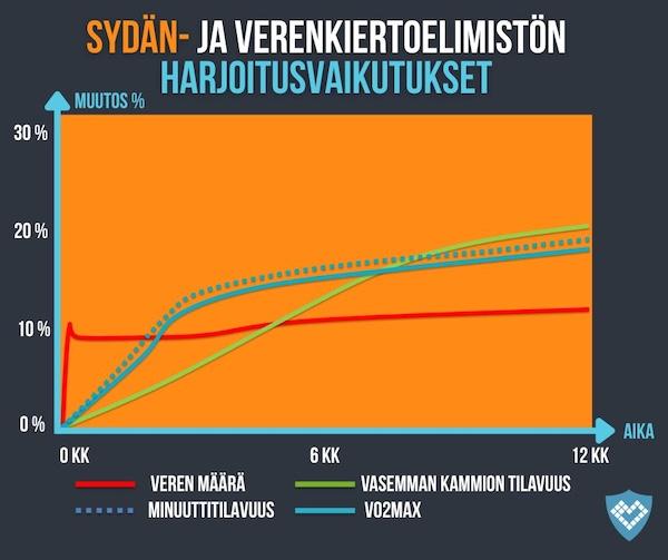 Aerobisen liikunnan vaikutus sydämen kokoon ja veren määrään